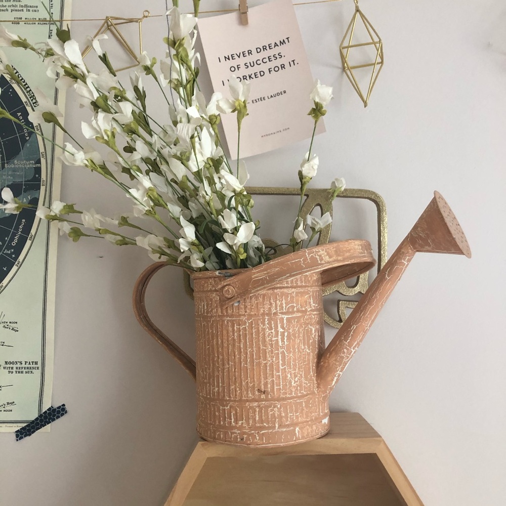Watering Can Decor